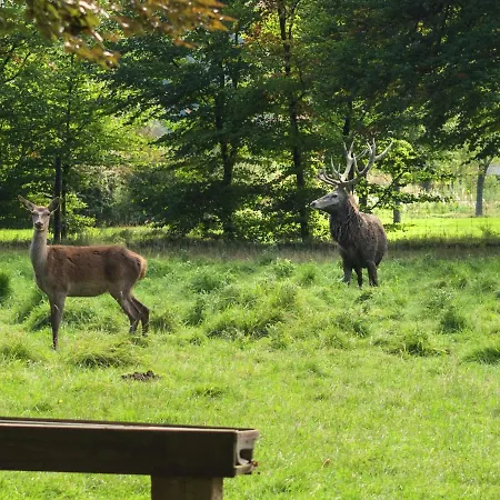 Nyaraló Mansion In Beauplateau Near Forest Gérimont